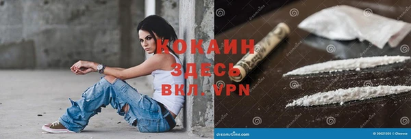 мяу мяу мука Переславль-Залесский