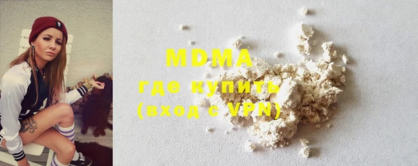 хмурый Пересвет