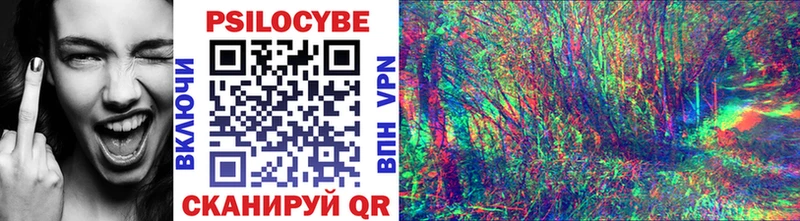 купить закладку  Юрьев-Польский  Псилоцибиновые грибы мухоморы 
